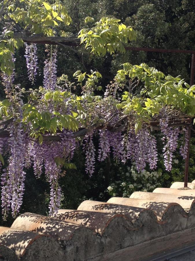 Hotel Bastide La Combe Vaison-la-Romaine Zewnętrze zdjęcie